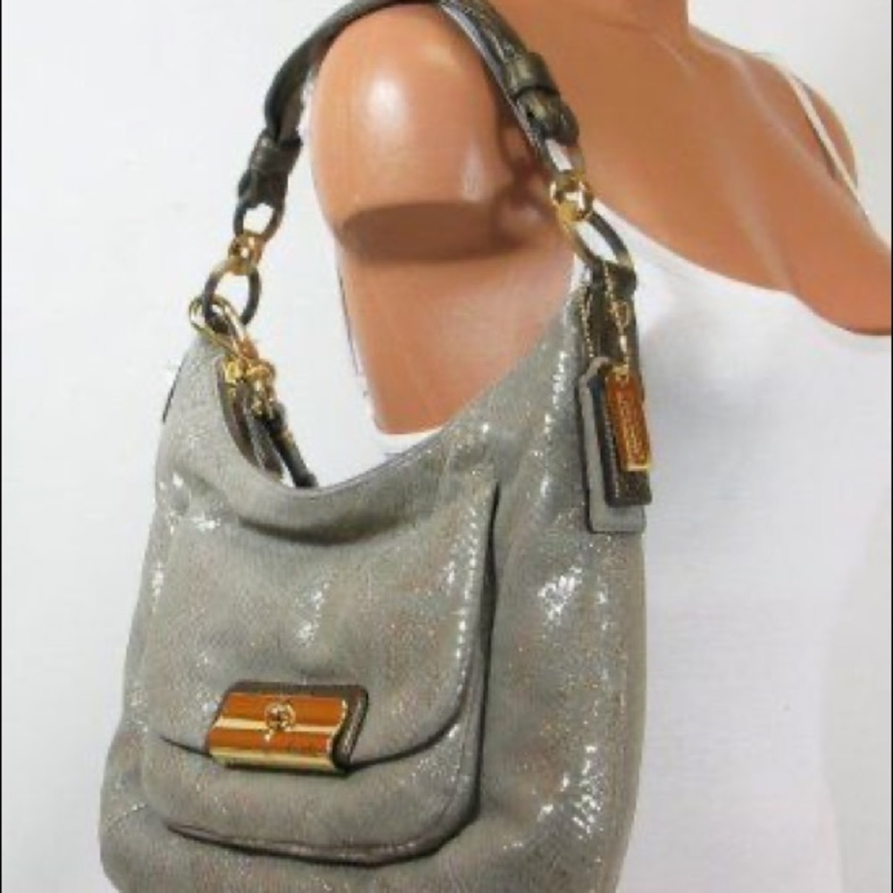 Coach 18306 Kristin Bronzed Smoke Python Hobo Bag
